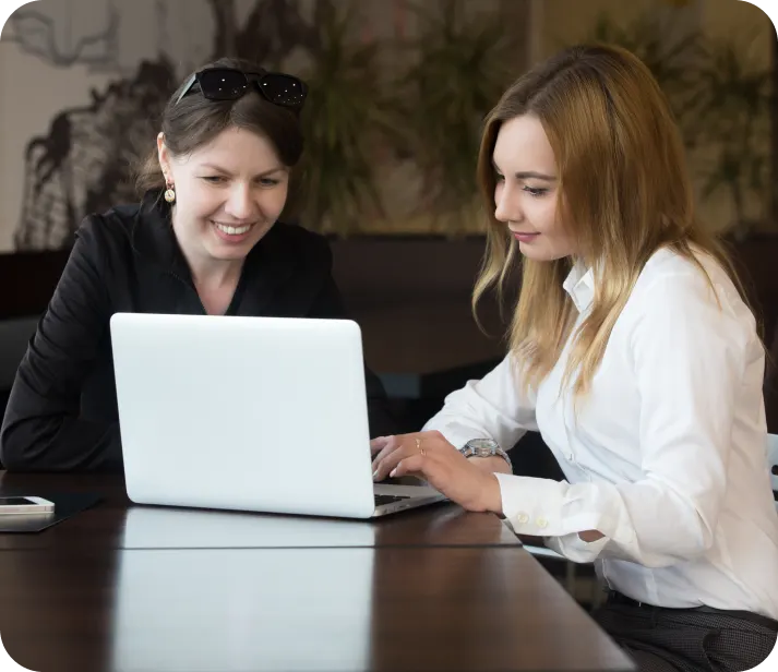 VAMS software on a laptop